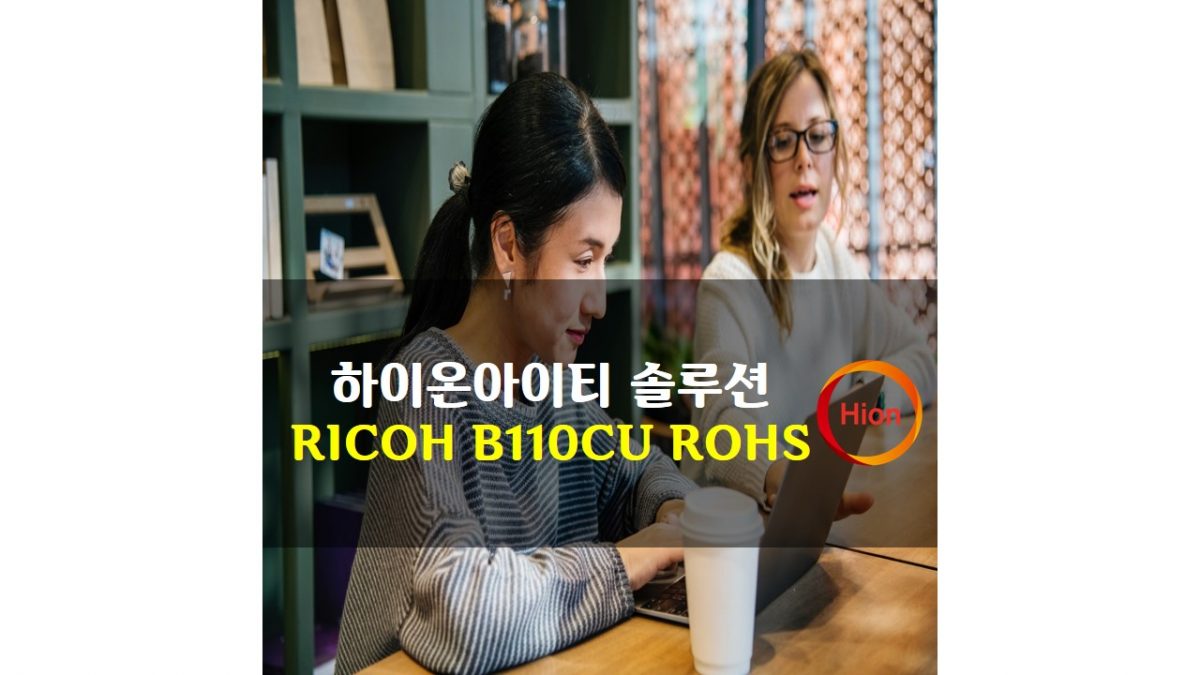 RICOH B110CU ROHS(Restriction of Hazardous Substances Directive)